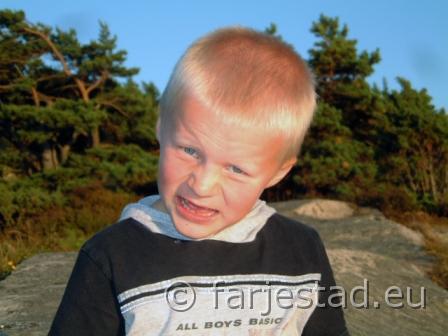 vicke2.JPG