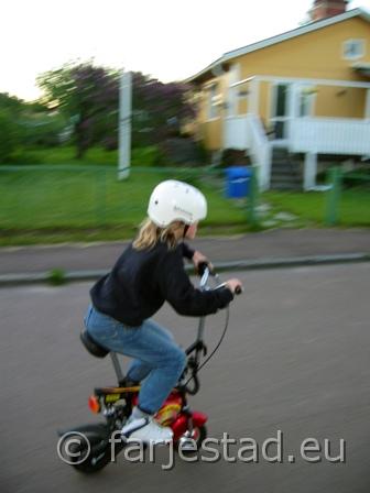 vicke5.jpg