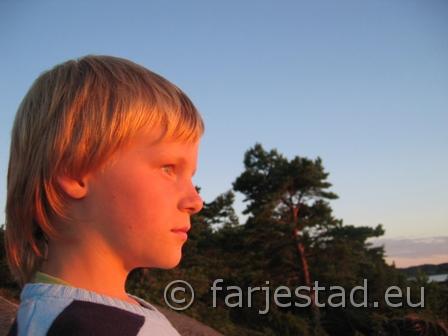 vicke7.jpg